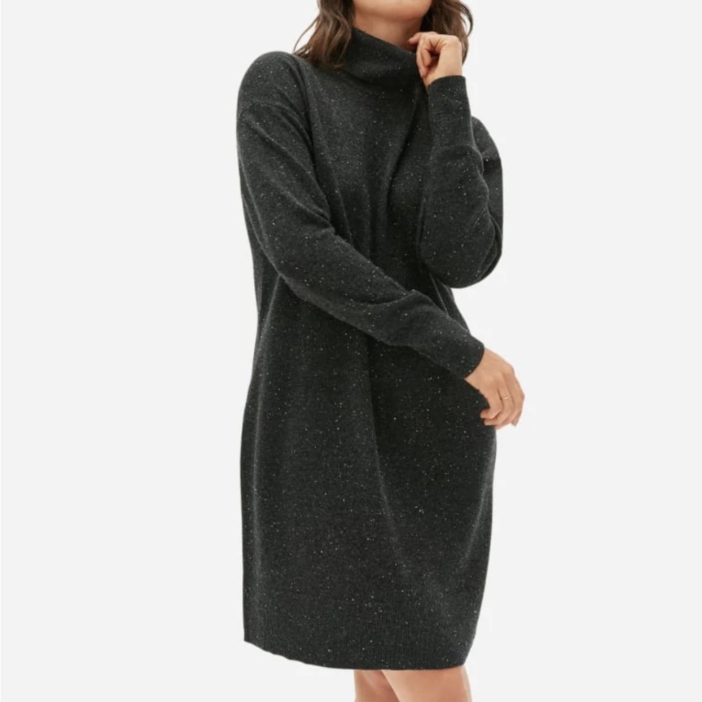 Everlane Cashmere Turtleneck Dress